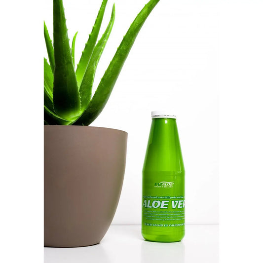 JUGO ALOE 100% NATURAL 1000ml ESTABILIZADO EN FRÍO